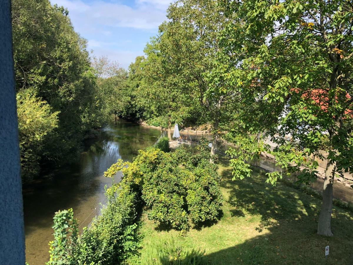 Hotel Muhleinsel Kenzingen Bagian luar foto